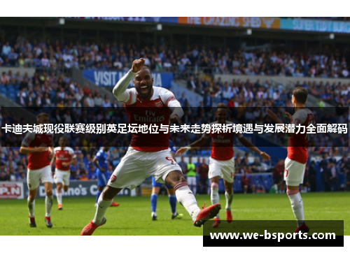 卡迪夫城现役联赛级别英足坛地位与未来走势探析境遇与发展潜力全面解码