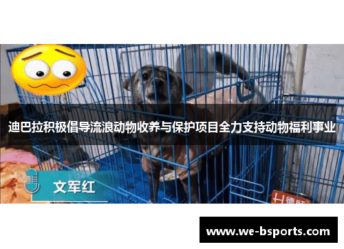 迪巴拉积极倡导流浪动物收养与保护项目全力支持动物福利事业