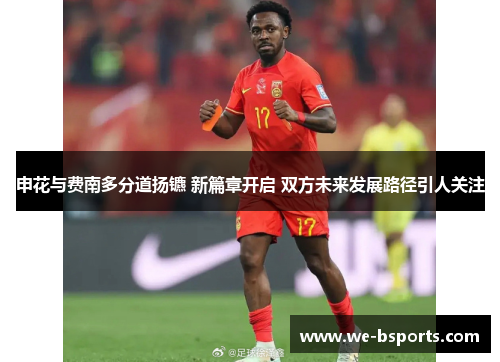 申花与费南多分道扬镳 新篇章开启 双方未来发展路径引人关注