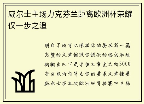威尔士主场力克芬兰距离欧洲杯荣耀仅一步之遥